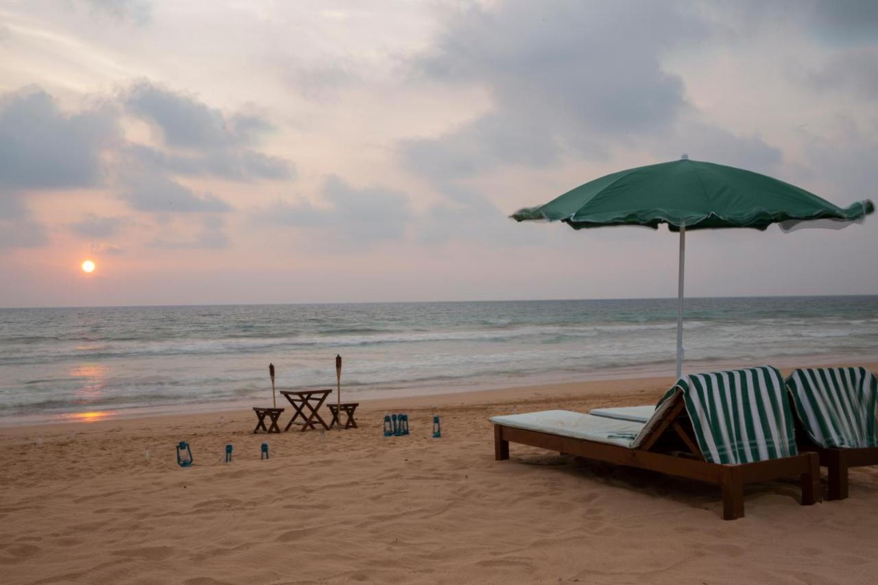 Palm Beach Inn & Sea Shells Cabanas Bentota Eksteriør billede