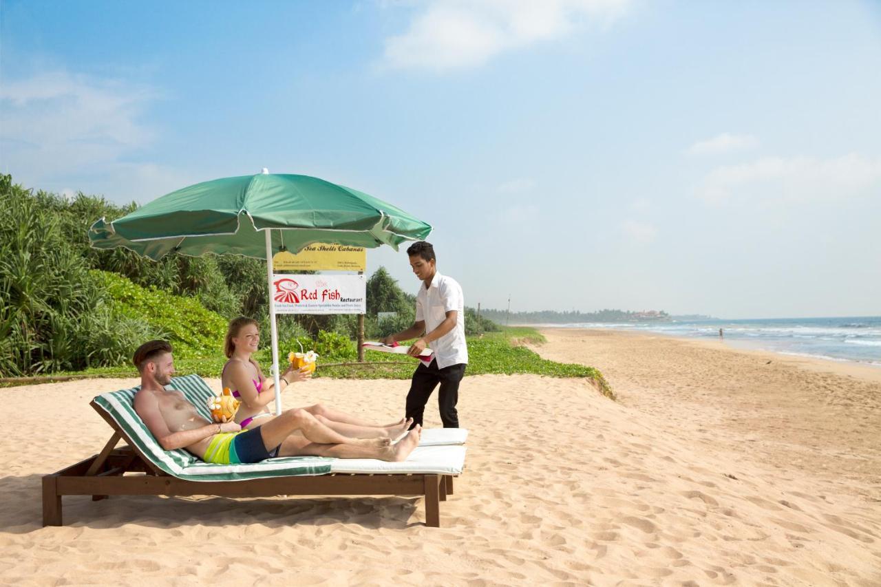Palm Beach Inn & Sea Shells Cabanas Bentota Eksteriør billede